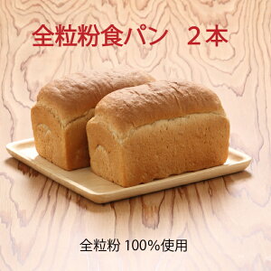 yӂ邳Ɣ[ŁzR`Y䂫100 SHp 2{ Iׂ1.8cmXCX ӂ邳Ɣ[ R`