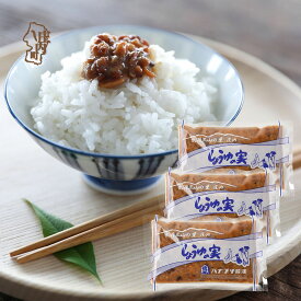 【ふるさと納税】ハナブサ醤油 しょうゆの実 115ml×3袋 ごはんのお供 おかず 郷土料理 発酵食品 国産 調味料 家庭 ふるさと納税 山形県 山形 庄内