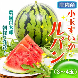 【ふるさと納税】【R8.7月下旬より順次発送】農園貞太郎 小玉スイカ ルパン 3～4玉（入金期限：2026.7.10）ふるさと納税 山形