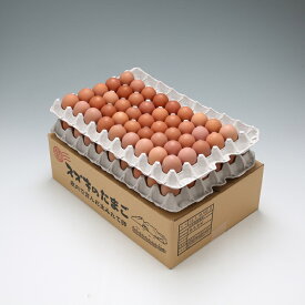 【ふるさと納税】 ふるさと納税 山形 スズキのたまご　地養卵　MS～L　約5kg（80～90個）