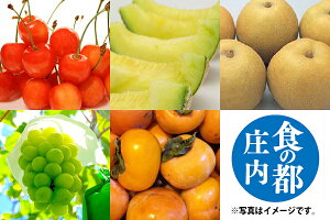 yӂ邳Ɣ[ŁzyR8.6{蔭JnzH̓s It[cAiF2026.5.31j  a VC}XJbg ` S5z 퉷 ① ӂ邳Ɣ[ R