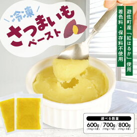 【ふるさと納税】冷凍さつまいもペースト 選べる数量 6～8袋 1袋あたり100g 山形県遊佐産 冷凍便 ※離島発送不可 冷凍 さつまいも さつま芋 サツマイモ 野菜 野菜ペースト 離乳食 介護食 お菓子作り 小分け ゆざ食彩工房 遊佐町 庄内 東北
