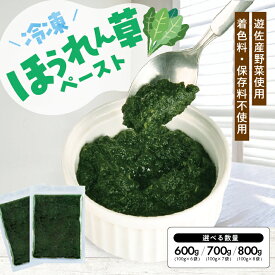 【ふるさと納税】冷凍ほうれん草ペースト 選べる数量 6～8袋 1袋あたり100g 山形県遊佐産 冷凍便 ※離島発送不可 冷凍 ほうれん草 ほうれんそう ホウレンソウ 野菜 野菜ペースト 離乳食 介護食 お菓子作り 小分け ゆざ食彩工房 遊佐町 庄内 東北