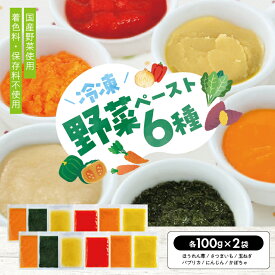 【ふるさと納税】冷凍野菜ペーストアラカルト6種 ほうれん草 さつまいも 玉ねぎ パプリカ にんじん かぼちゃ 各100g×2袋 計1.2kg 冷凍便 ※離島発送不可 冷凍 野菜 野菜ペースト 離乳食 介護食 小分け お菓子作り アラカルト セット 詰め合わせ ゆざ食彩工房 遊佐町 庄内