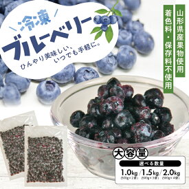 【ふるさと納税】冷凍ブルーベリー 選べる数量 2～4袋 1袋あたり500g 山形県産 冷凍便 ※離島発送不可 冷凍 冷凍フルーツ ブルーベリー フルーツ ジャム ジュース スムージー 小分け お菓子作り ゆざ食彩工房 遊佐町 庄内 東北