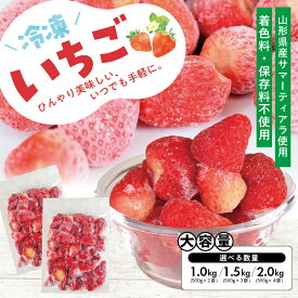 【ふるさと納税】冷凍いちご 選べる数量 2～4袋 1袋あたり500g 山形県遊佐産 冷凍便 ※離島発送不可 冷凍 冷凍フルーツ いちご イチゴ 苺 サマーティアラ フルーツ ジャム ジュース スムージー 小分け お菓子作り ゆざ食彩工房 遊佐町 庄内 東北