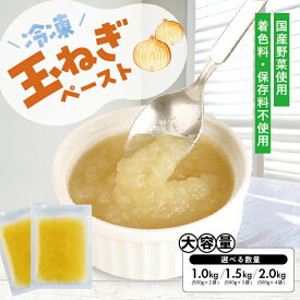 【ふるさと納税】冷凍玉ねぎペースト 選べる数量 2～4袋 1袋あたり500g 冷凍便 ※離島発送不可 冷凍 たまねぎ 玉ねぎ 玉葱 野菜 野菜ペースト 離乳食 介護食 小分け ゆざ食彩工房 遊佐町 庄内 東北