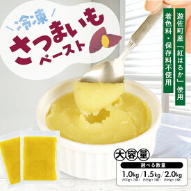 【ふるさと納税】冷凍さつまいもペースト 選べる数量 2～4袋 1袋あたり500g 山形県遊佐産 冷凍便 ※離島発送不可 冷凍 さつまいも さつま芋 サツマイモ 野菜 野菜ペースト 離乳食 介護食 お菓子作り 小分け ゆざ食彩工房 遊佐町 庄内 東北