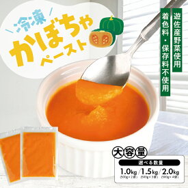 【ふるさと納税】冷凍かぼちゃペースト 選べる数量 2～4袋 1袋あたり500g 山形県遊佐産 冷凍便 ※離島発送不可 冷凍 かぼちゃ カボチャ 南瓜 野菜 野菜ペースト 離乳食 介護食 お菓子作り 小分け ゆざ食彩工房 遊佐町 庄内 東北