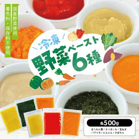 【ふるさと納税】冷凍野菜ペーストアラカルト6種 ほうれん草 さつまいも 玉ねぎ パプリカ にんじん かぼちゃ 各500g 計3.0kg 冷凍便 ※離島発送不可 冷凍 野菜 野菜ペースト 離乳食 介護食 小分け お菓子作り アラカルト セット 詰め合わせ ゆざ食彩工房 遊佐町 庄内