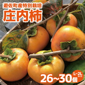 【ふるさと納税】特別栽培庄内柿 5kg L〜2Lサイズ 26〜30個入り 山形県遊佐町産 11月上旬～11月下旬頃お届け ※着日指定不可 東北 山形県 遊佐町 庄内地方 種無し柿 カキ かき 種無し