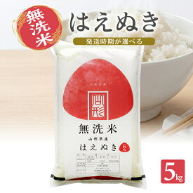 【ふるさと納税】無洗米 はえぬき 5kg 山形県産 令和8年産米 ご希望の時期頃お届け 東北 山形県 遊佐町 庄内地方 精米 白米 小分け 少人数 阿部ベイコク
