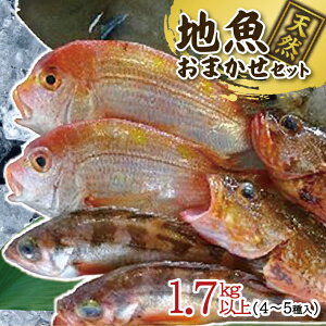 yӂ邳Ɣ[Łzn܂Zbg 4`5ޓ v1.7kgȏ ① wEiꌧ܂ށjւ̔s k R` V n N l Yn VN