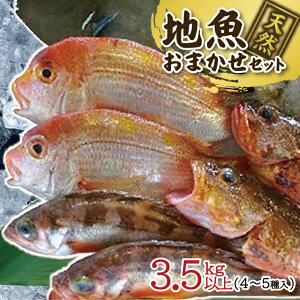 yӂ邳Ɣ[Łzn܂Zbg 4`5ޓ v3.5kgȏ ① wEiꌧ܂ށjւ̔s k R` V n N l Yn VN
