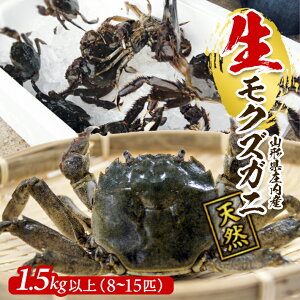 yӂ邳Ɣ[ŁzEVRNYKj 1.5kgȏ 8`15C IXEX R`Y 9{`12{ ① wEiꌧ܂ށjs Jj I  Kj 