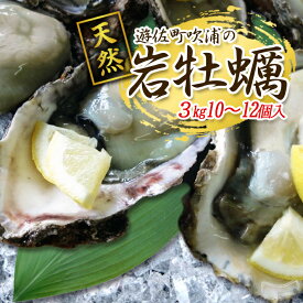 【ふるさと納税】天然岩牡蠣 約3kg 10～12個入 殻付き 山形県遊佐町吹浦産 6月上旬〜8月下旬頃お届け 冷蔵便 ※着日指定・離島（沖縄県を含む）発送不可 カキ かき 岩かき お取り寄せ 日本海 東北 庄内 鮮魚 新鮮