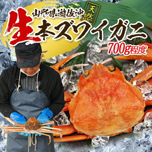 �y�ӂ邳�Ɣ[�Łz�t�̐��E�{�Y���C�K�j 1�C 700g���x �V���� 2026�N1����{�`3�����{���������� �①�� �������w��E�����i���ꌧ���܂ށj�����s�� ���k �R�`�� �����n�� ���{�C �J�j �I ���� 