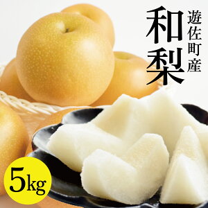 yӂ邳Ɣ[Łza 5kg 10`12 R`VY 9{`9{͂ ① wEs ʕ t[c iV H k R` V 