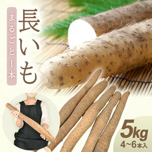 �y�ӂ邳�Ɣ[�Łz������ 5.0kg 4�`6�{ �R�`���V�����Y ��� ������ �_�ƒ��� �Y�n���� �R�`�� �V���� ���� ���u�炿