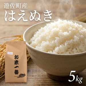 �y�ӂ邳�Ɣ[�Łz�͂��ʂ� 5kg �ߘa7�N�Y�� �R�`���V�����Y ����]���������͂� ���k �R�`�� �V���� �����n�� �� ���� ���� ���� ������ �u�����h�� ���� ���͂� �����������I�ׂ�