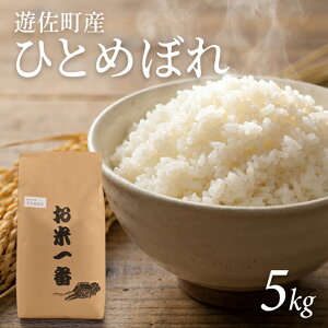 �y�ӂ邳�Ɣ[�Łz�ЂƂ߂ڂ� 5kg �ߘa7�N�Y�� �R�`���V�����Y ����]���������͂� ���k �R�`�� �V���� �����n�� �� ���� ���� ���� ������ �u�����h�� ���� ���͂� �����������I�ׂ�