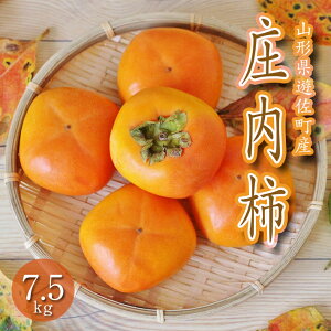 yӂ邳Ɣ[Łz` 7.5kg R`VY 10{`11{͂ ws k R` V n ` JL  Ȃ 햳 j`