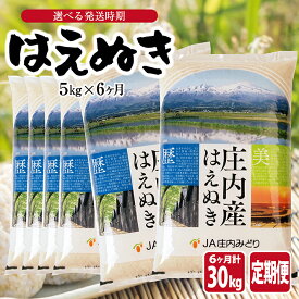 【ふるさと納税】≪6ヶ月定期便≫ はえぬき5kg×6ヶ月連続 計30kg 山形県庄内産 ご希望期間の毎月中旬頃お届け JA 農協 産地直送 精米 白米 庄内米 東北 遊佐町