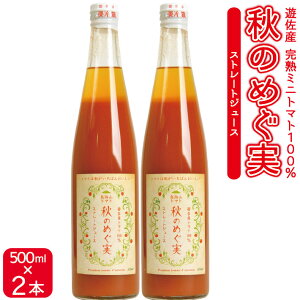 yӂ邳Ɣ[Łz_ƒ g}gW[X Ĥ߂ sgp HY 500ml×2{ ؃W[X  r 퉷ۑ