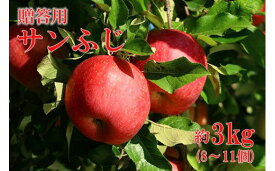 【ふるさと納税】No.0787 りんご「サンふじ」約3kg化粧箱入【2025年度発送】