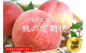 【ふるさと納税】No.2026【2024年発送分】ふくしまの桃 約3kg 定期便3回【贈答用】桃 モモ フルーツ くだもの 果物 福島市 人気 返礼品 お取り寄せ 福島県産 4万円台