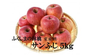 yӂ邳Ɣ[ŁzNo.2065  uTӂvƒp 5kgy2026N1蔭zs\  ̂ 5kg A 킯t[c ʕ fU[g s Y 1~ ԗi 