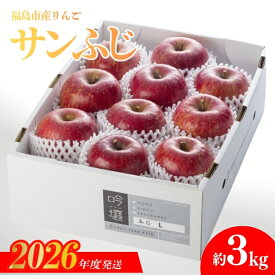 【ふるさと納税】No.0673 りんご「サンふじ」 約3kg【2026年度発送】 福島県 福島市 ふくしま フルーツファームカトウ リンゴ サンふじ フルーツ 果物 くだもの 旬の果実 16000 一万円台 二万円以下