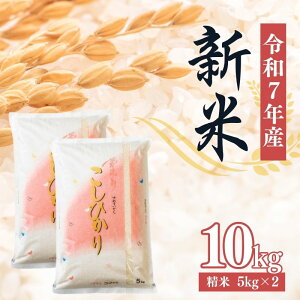 yӂ邳Ɣ[Łz啶čXyߘa7NYVā@s\z RVqJ  5kg 10kgi5kg×2j