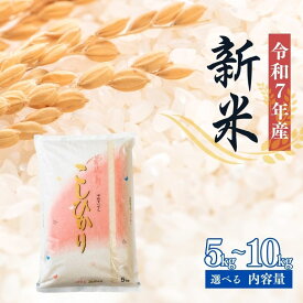 【ふるさと納税】大文字屋米穀店【令和7年産新米】コシヒカリ精米（無洗米）1等米 5kg 10kg