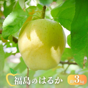 yӂ邳Ɣ[ŁzNo.1474 񂲁u͂邩v3kgy2025Nxz