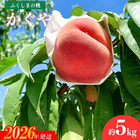 【ふるさと納税】果樹園きつない 福島のもも「かぐや」約2kg 約3kg 約5kg【2026年発送 先行予約】