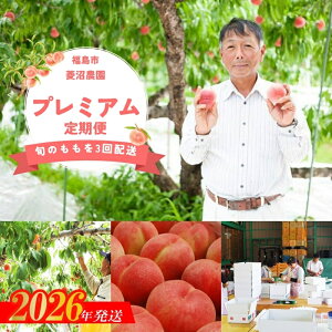 yӂ邳Ɣ[ŁzNo.1537yS3zv~Aցy2026N s\z