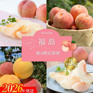 yӂ邳Ɣ[ŁzNo.1625̂4 e3kg y2026Nz