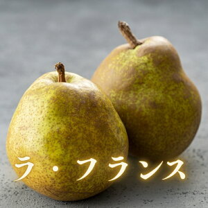 yӂ邳Ɣ[ŁzNo.1730EtX@3kg@y2025Nz