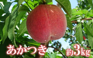 yӂ邳Ɣ[Łzuv2kg 3kgy2026N s\z