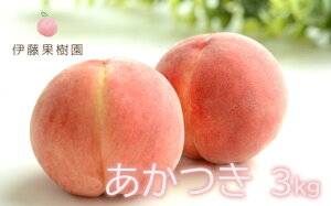 yӂ邳Ɣ[Łzuv 2kg 3kgy2026N@s\z