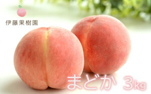 yӂ邳Ɣ[Łzu܂ǂv2kg 3kgy2026N@s\z