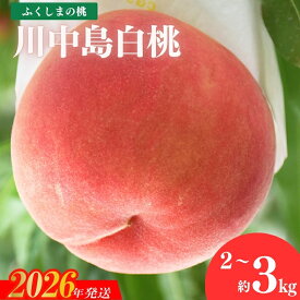 【ふるさと納税】もも「川中島白桃」約2kg 約3kg【2026年発送　先行予約】