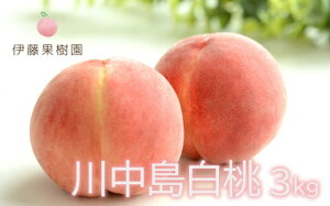 yӂ邳Ɣ[Łzu쒆v2kg 3kgy2026N@s\z