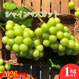 【ふるさと納税】No.1980ぶどう　「シャインマスカット」約1kg【2026年発送 先行予約】