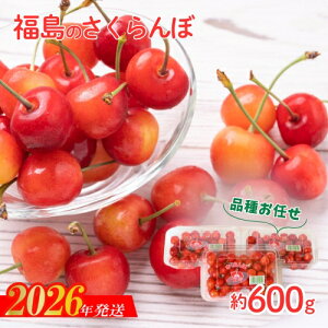 yӂ邳Ɣ[ŁzNo.2094 i킨C G@Lʁ@600gi200g×3pbNjy2026N s\z