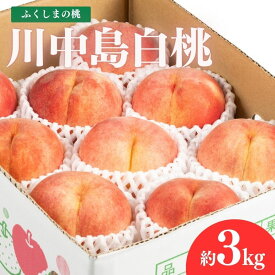 【ふるさと納税】No.2153 福島のもも　川中島白桃　約3kg【2026年発送 先行予約】福島県 福島市 桃 白桃 2万円以下 8月の桃