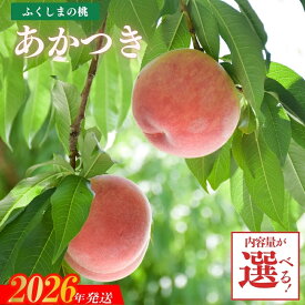 【ふるさと納税】もも「あかつき」 約2kg 約3kg【2026年発送 先行予約】