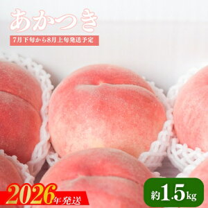 yӂ邳Ɣ[ŁzNo.2218 uv1.5kg ϔy2026N s\z