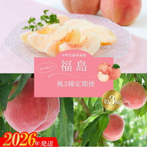 yӂ邳Ɣ[ŁzNo.2222/ʎ ̓3 e3kgy2026N s\z